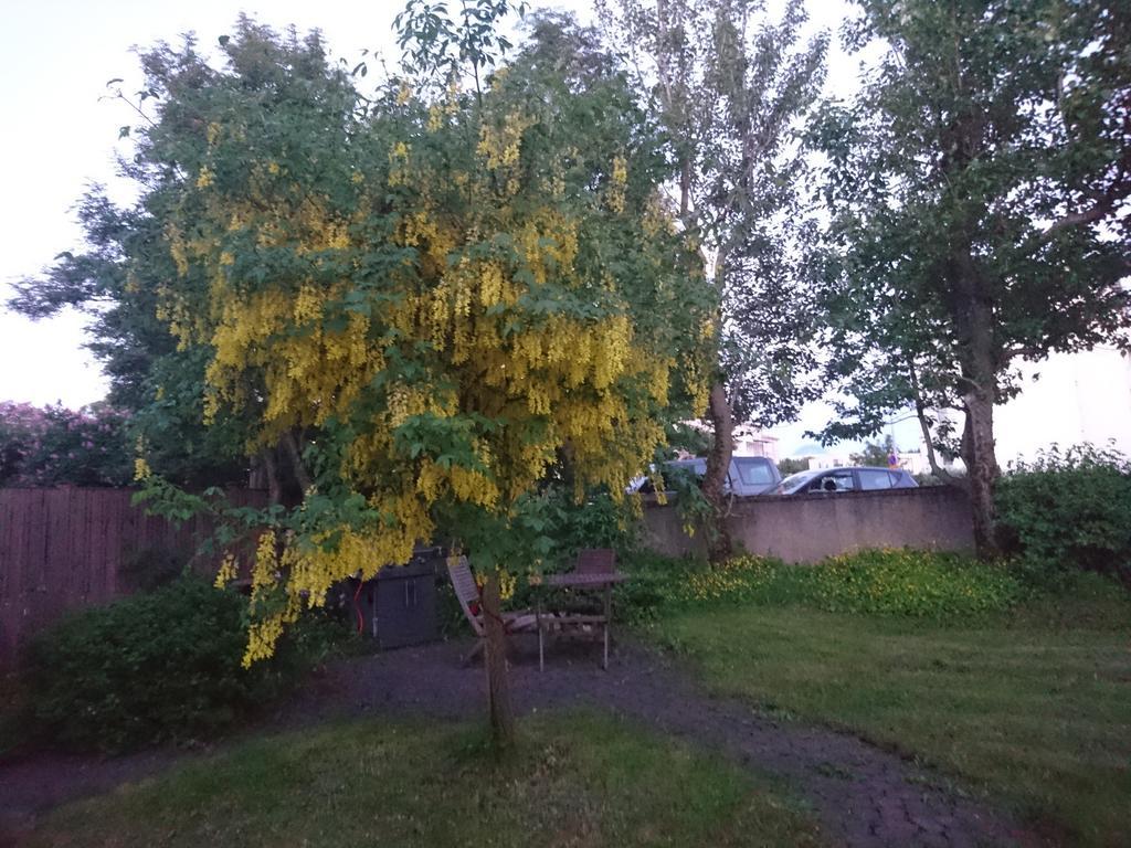 Alba Guesthouse Рейкьявик Экстерьер фото