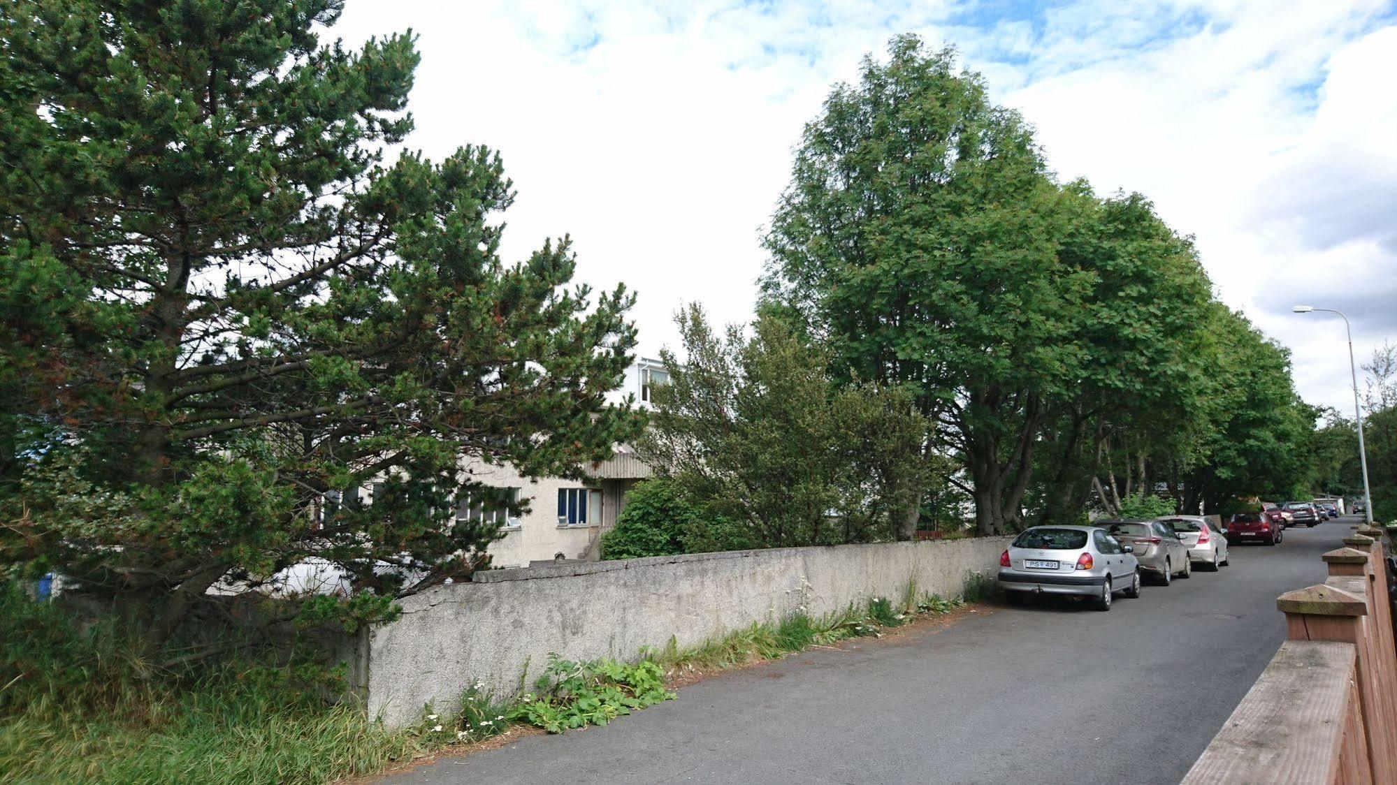 Alba Guesthouse Рейкьявик Экстерьер фото